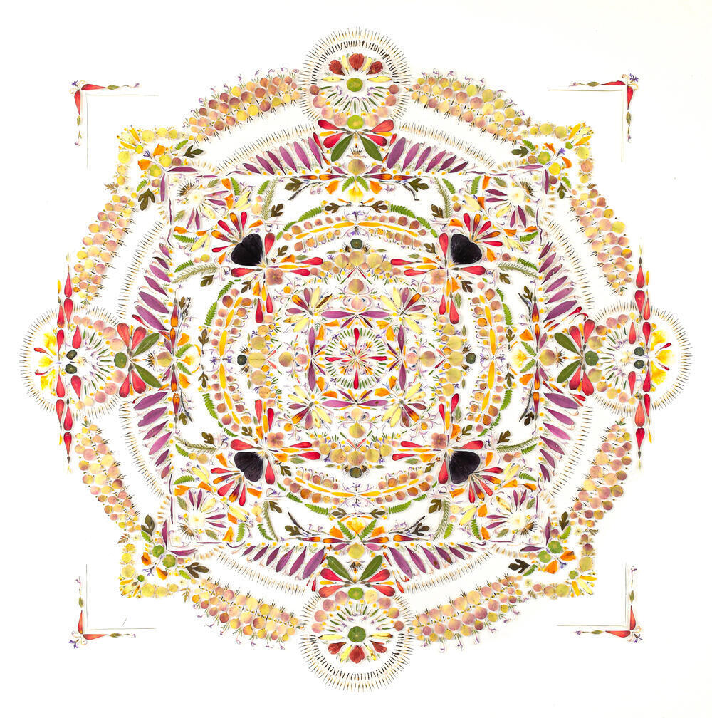 Leaves and petals arranged in mandala pattern