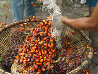 palm oil basket