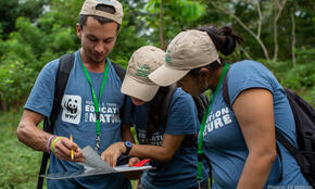 Forest restoration workshop participants review data