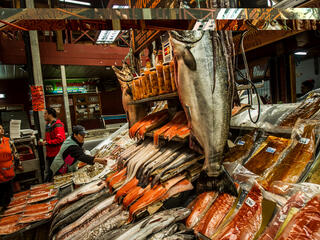 Fish Market