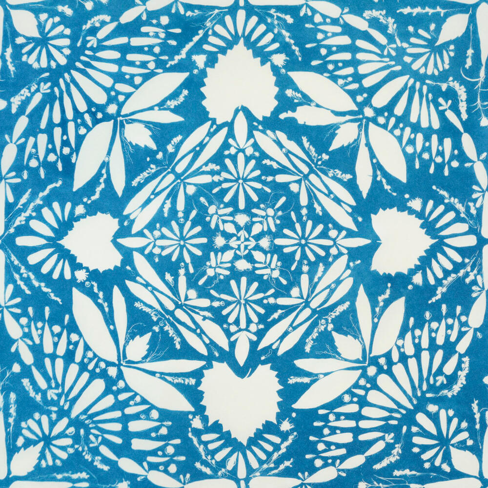 Leaves and petals arranged in blue mandala pattern