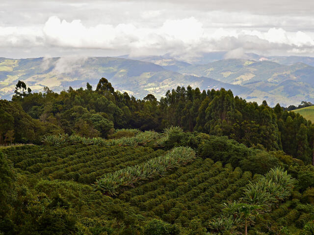  Aerial view of Colina dos Sonhos Farm owned by José Fernandes Franco in Socorro, São Paulo, Brazil 