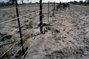 Namibia Elephant Fence