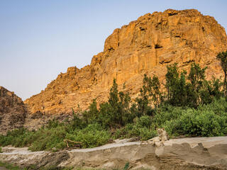 Lion resting at base of cliff