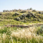 A man-made structure resembling a beaver dam in a field