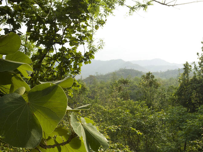 churia forest