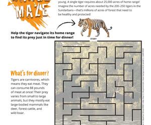 Tiger Range Maze