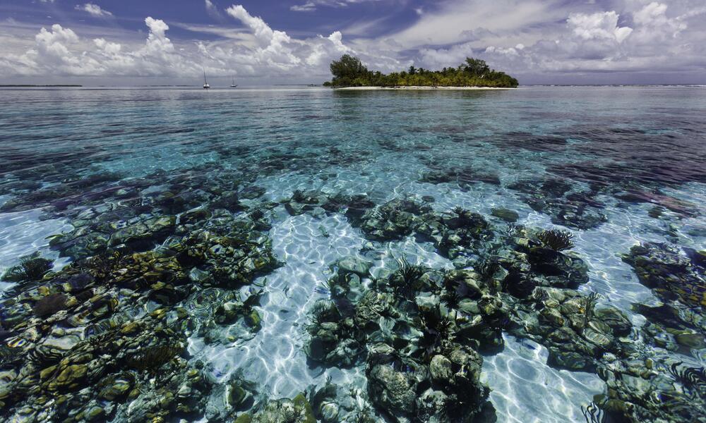 Belize barrier reef