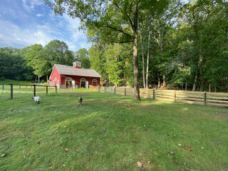 A red barn and a green pasture with goats and trees