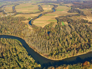 Winding river from above