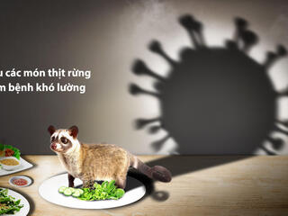 An animal stands on a plate with a shadow of a virus in the background