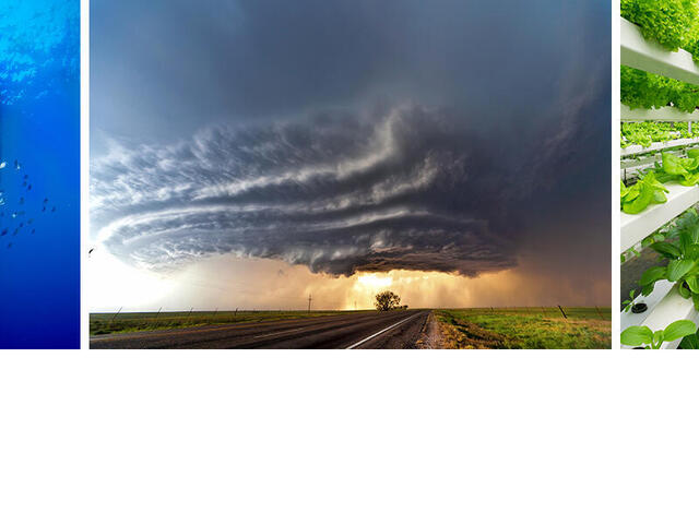 Collage of Aquaculture Fish Nets, Beginning of a tornado on a deserted highway, and Fresh organic vegetable grown using aquaponic or hydroponic farming.