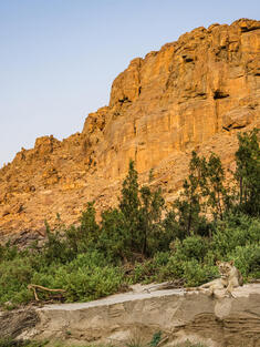 Lion resting at base of cliff