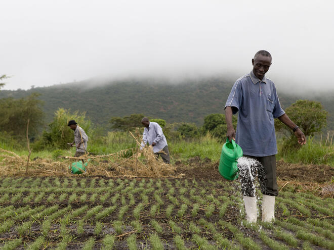 Sustainable Agriculture