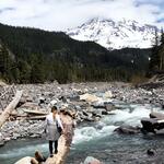 A woman walks across a log over a stream in the wilderness