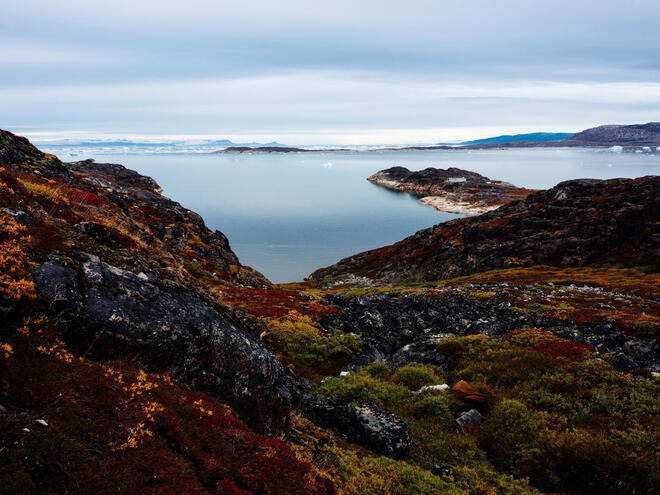 Photos taken in and around Ilulissat, Greenland during the 2015 Polar Bear Range States meeting