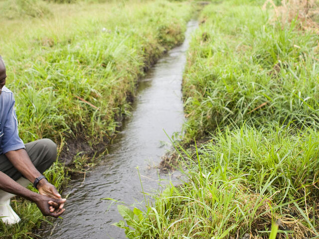 Water sourced from an irrigation project, which diverts water from the river to farmland.