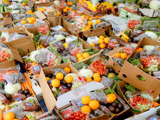 boxes filled with produce