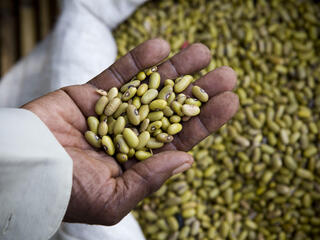 beans at a market