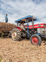 Driven to Waste: The Global Impact of Food Loss and Waste on Farms Brochure