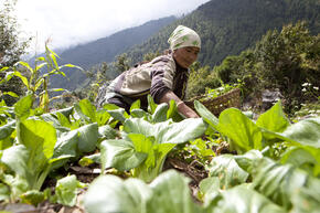 woman gardening