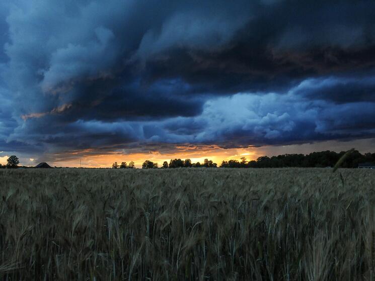 Stormy landscape in Ottowa