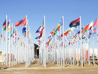 flags outside at COP22