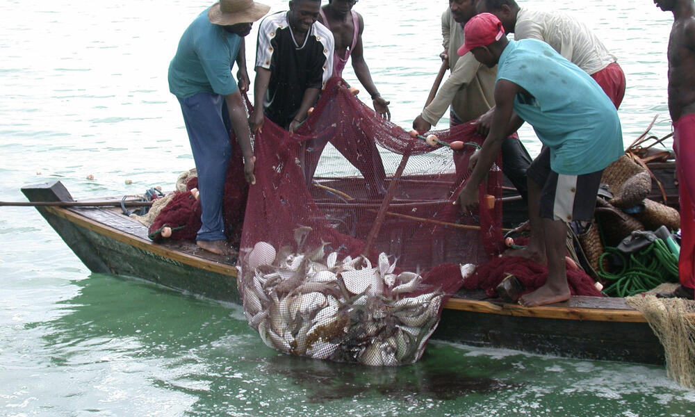 Illegal small-mesh seine net, Tanzania