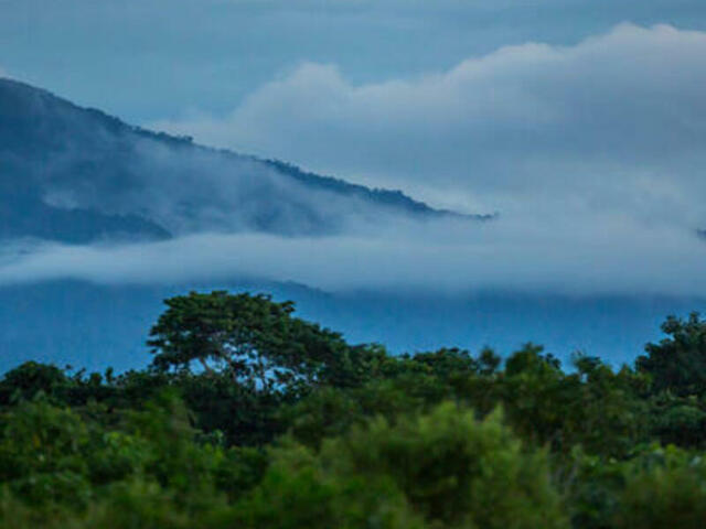 Landscape with trees mountains and clouds