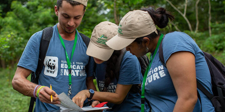 Forest restoration workshop participants review data