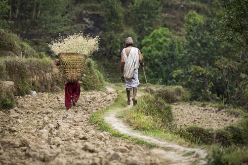 After a day’s work monitoring the forest, Lila Ditra Poudel meets his granddaughter, who works in the terraced fields around Dhikurpokhari, to share the walk home.