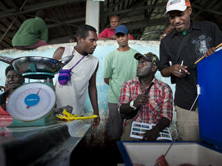 solomon island fishery