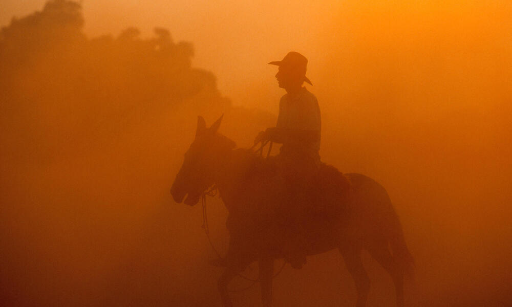 Rancher on a horse in the Pantanal