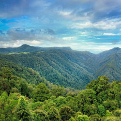 A wide lens view of green forested mountains and a colorful sky