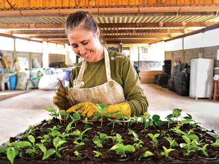 Santos planting seedlings