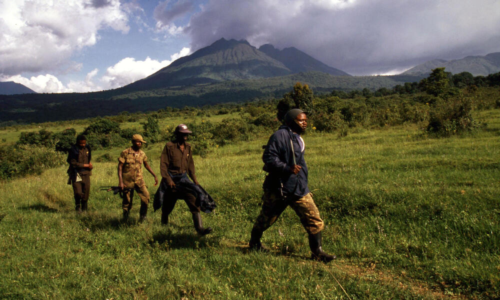 Congo Basin