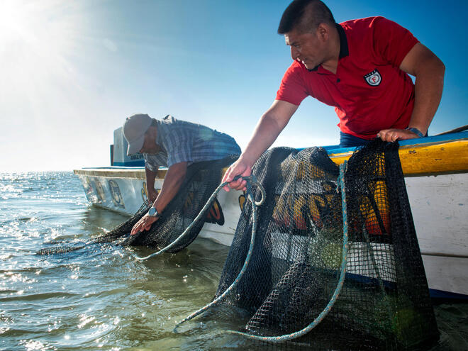 pomada fishermen Antonio Busiello WW290527