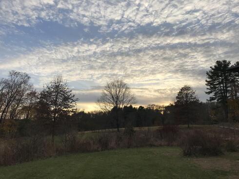 A bright colorful sky above a meadow.