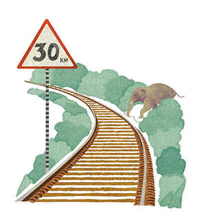 Illustration of elephant crossing train tracks