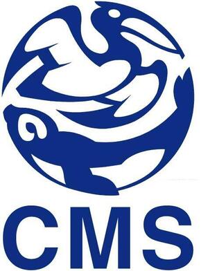 CMS