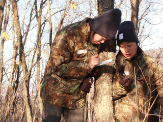 Forest rangers in the field