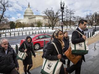 activists walk up steps to Congressional building