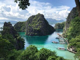 View of green forested mountains and blue water