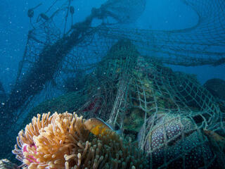 Ghost fishing net discarded by fishermen