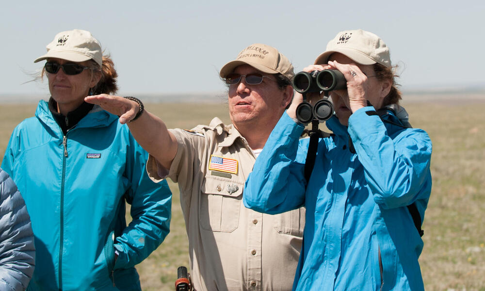 Observing the Snake Butte bison pasture at Ft. Belknap Reservation, Montana