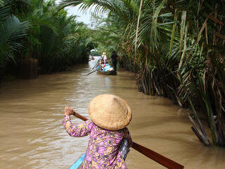 Greater Mekong Dry Forest Ecosystems