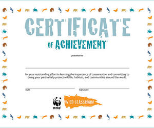 Certificate of Achievement