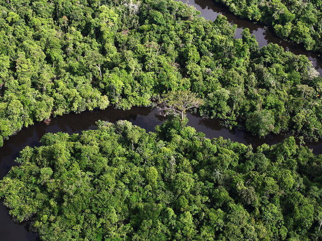 Amazon River