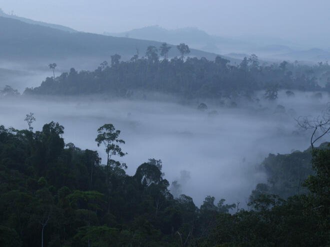 foggy mountain