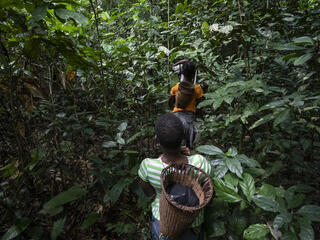 A group of Ba'Aka people walking into the forest